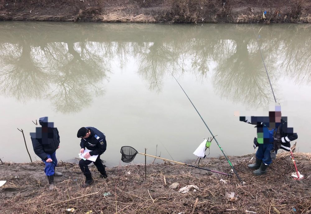 Braconajul piscicol și tăierile ilegale de lemn, în vizorul jandarmilor din Bistrița-Năsăud! Ce amenzi au fost aplicate