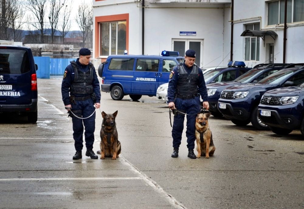 FOTO: Două dintre cele mai iubite jandarmerițe din Bistrița au ieșit la pensie! Cine le-a adoptat