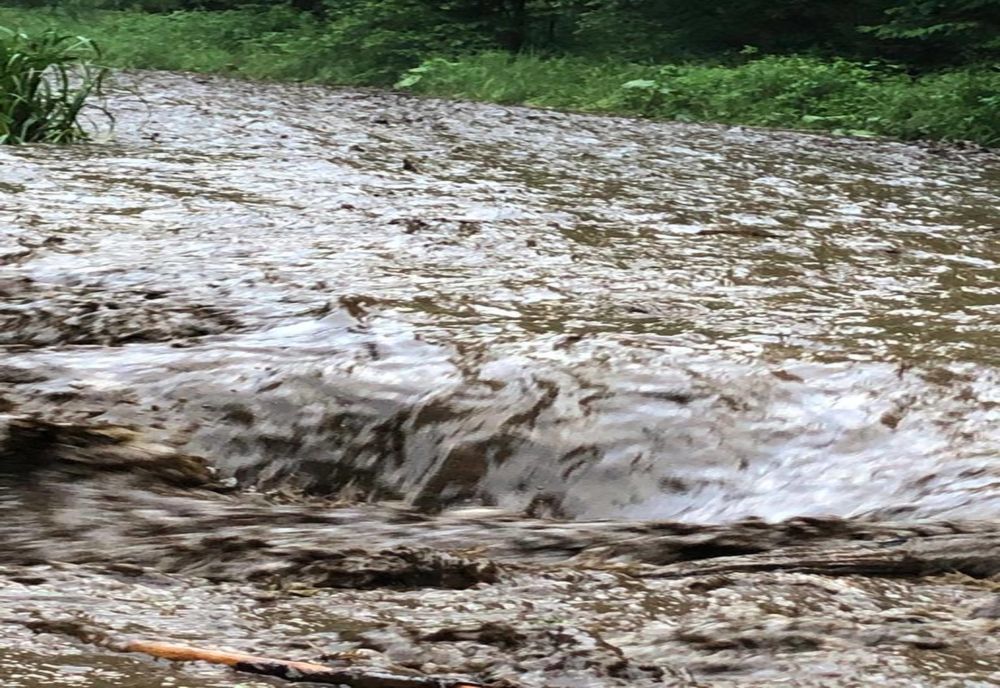 VIDEO/FOTO: Ploile torențiale au făcut ravagii în Bistrița Bârgăului. Au fost afectate gospodării și în Lechința