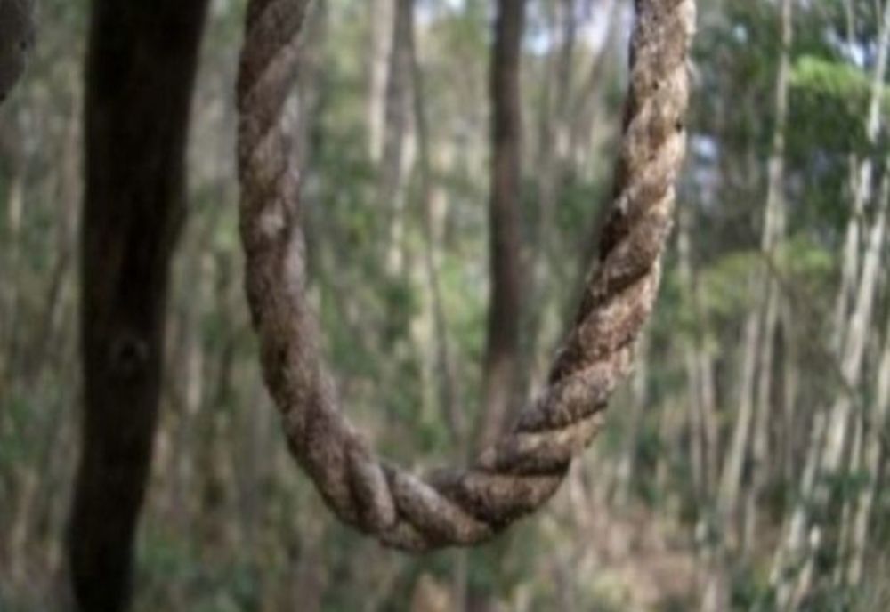 Bărbat, găsit spânzurat într-o pădure în Ilva Mică