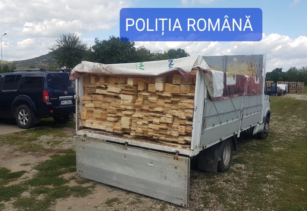 Bărbat din Bistrița-Năsăud, prins că a tăiat ilegal dintr-o pădure peste 31 mc de lemn! Un alt tânăr a fost amendat cu câteva mii de lei pentru transport ilegal de cherestea