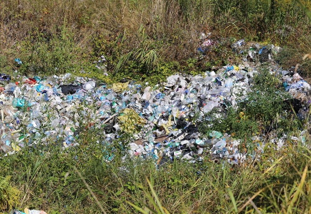 Mediul agresat pe malul stâng al râului Șieu, într-o arie protejată