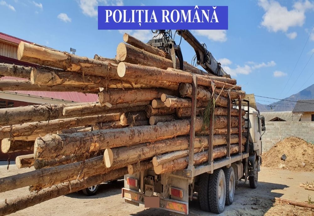 O firmă din Bistrița-Năsăud a rămas fără lemn în valoare de peste 130.000 lei! A primit și o amendă de 6.000 lei