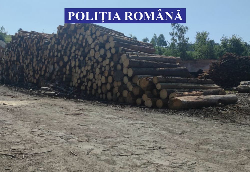 Acțiuni pe linie silvică, efectuate de polițiștii bistrițeni: peste 140 mc de lemn, confiscați! Ce sancțiuni au mai fost aplicate
