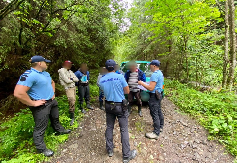 Amendați fiindcă au cules ciuperci și afine dintr-o pădure, fără aprobarea administratorului fondului cinegetic