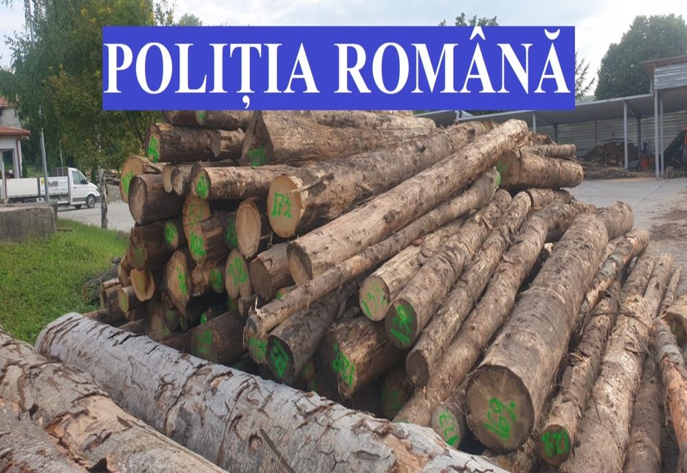 Firmă din Lunca Ilvei, amendată și lăsată fără lemn ! "Paguba" se cifrează la circa 16.000 lei