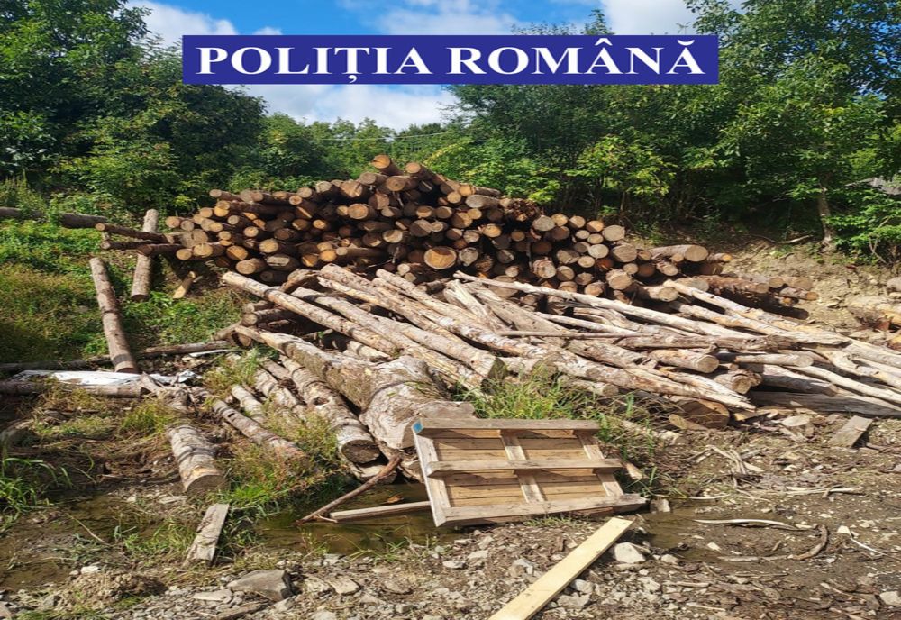 Mai multe transporturi de material lemnos și un depozit de profil, verificate de polițiștii bistrițeni! Ce sancțiuni au fost aplicate