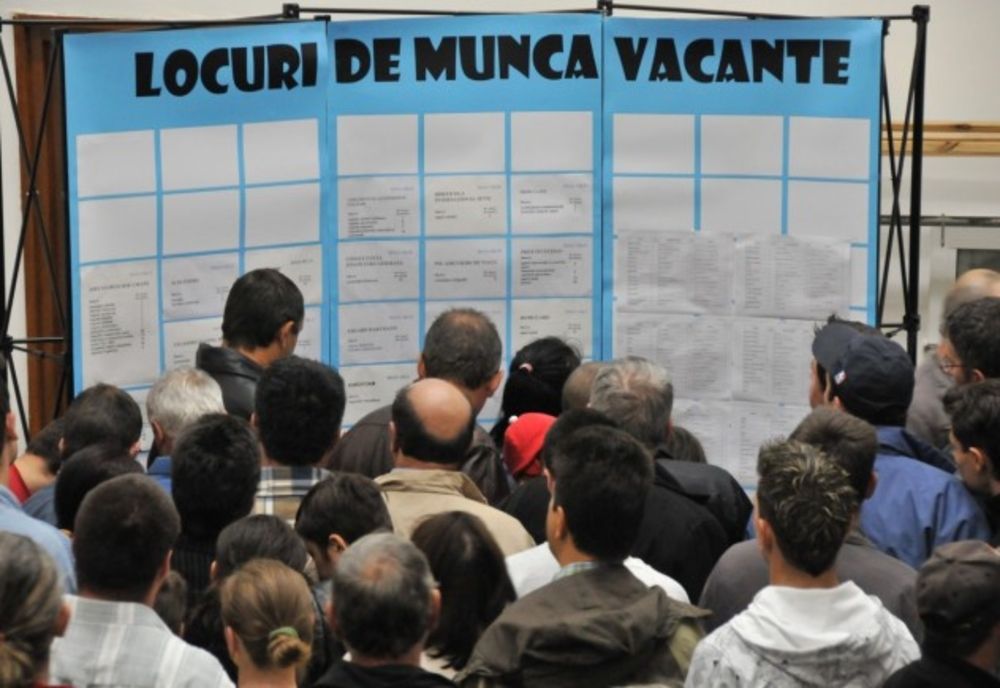 AJOFM Bistrița-Năsăud: 540 de locuri de muncă, diponibile în județ! Alte 335, în Uniunea Europeană. Vezi oferta