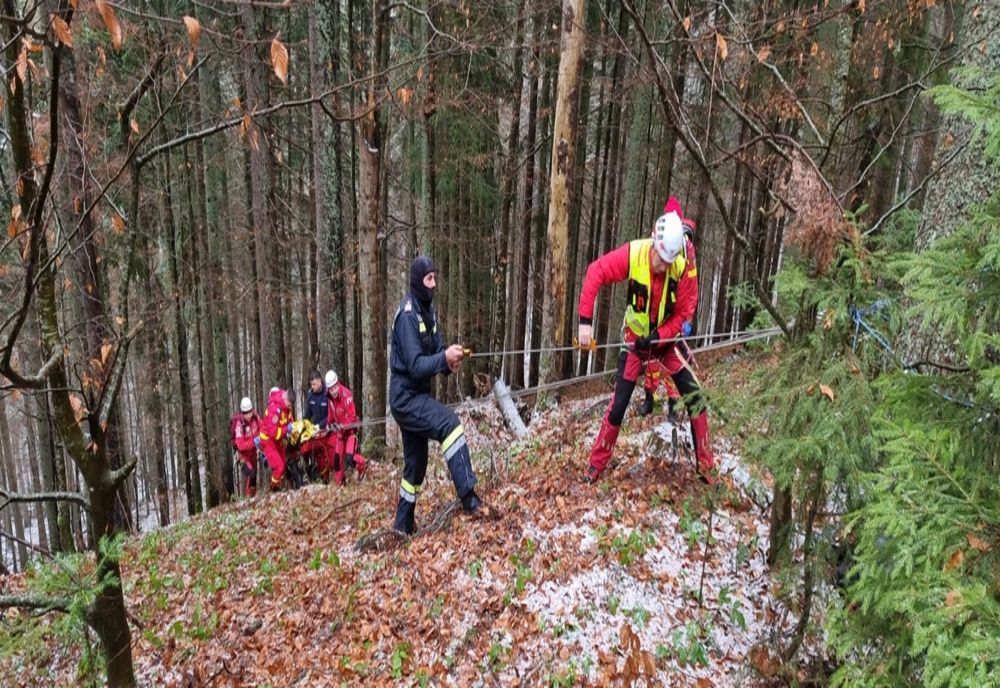 FOTO: Bărbat din Bistrița-Năsăud, decedat după ce a fost lovit de un copac într-o pădure 