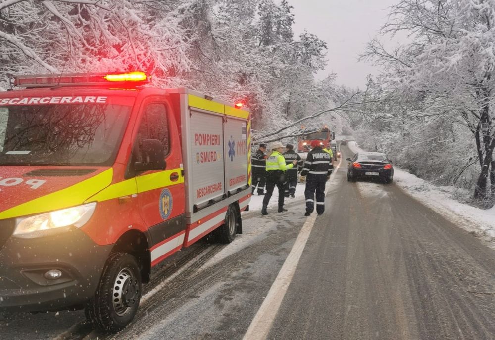 Copaci căzuți pe carosabil în Bistrița-Năsăud, din cauza ninsorilor! Cum se circulă în județ