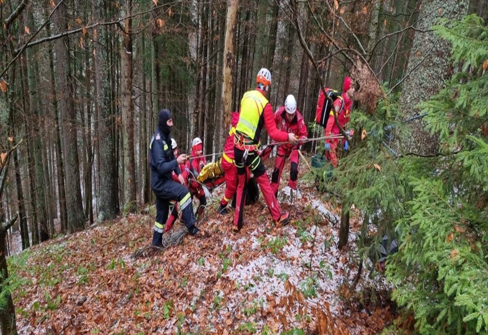 Doi bărbați din Parva au murit în timp ce tăiau ilegal lemne dintr-o pădure! Au fost loviți de un copac