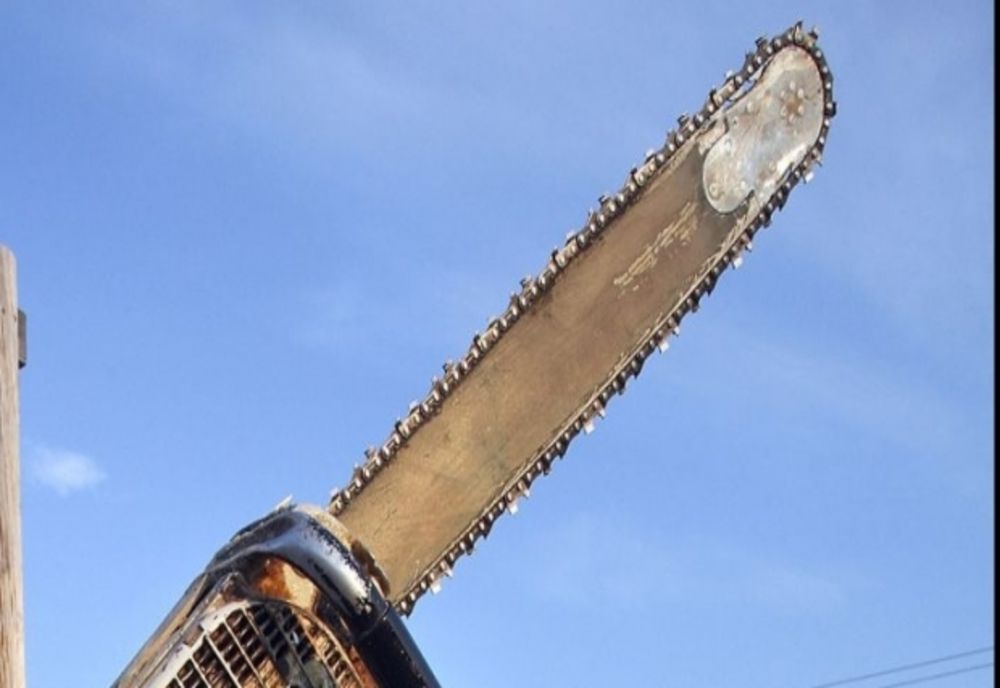 A lăcomit la o drujbă și s-a ales cu dosar penal