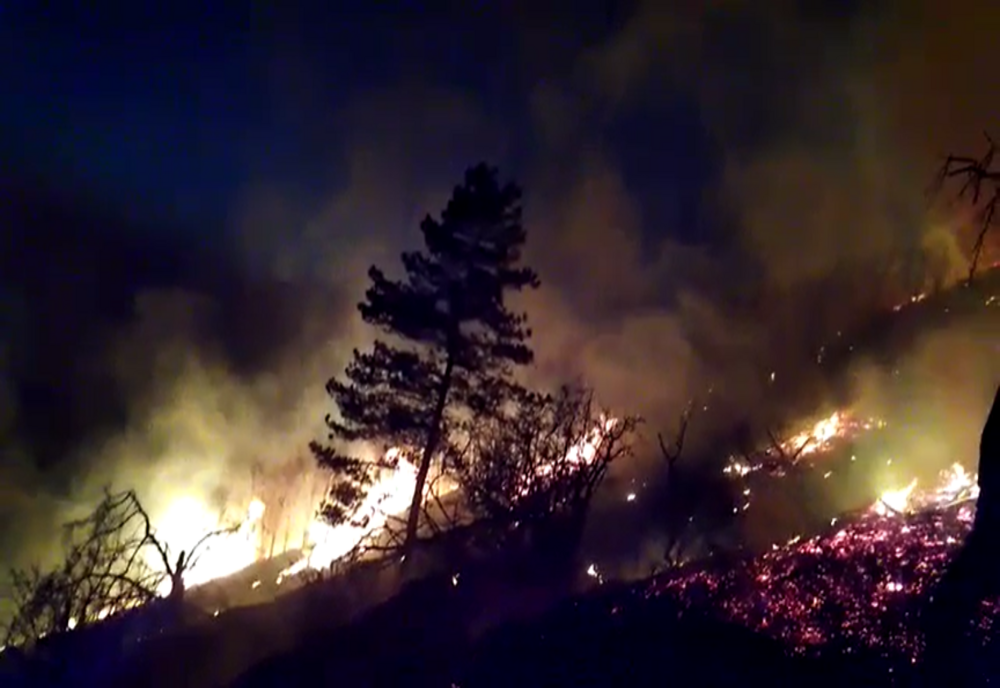 VIDEO: Incendiu de vegetație uscată, lângă comuna Nușeni