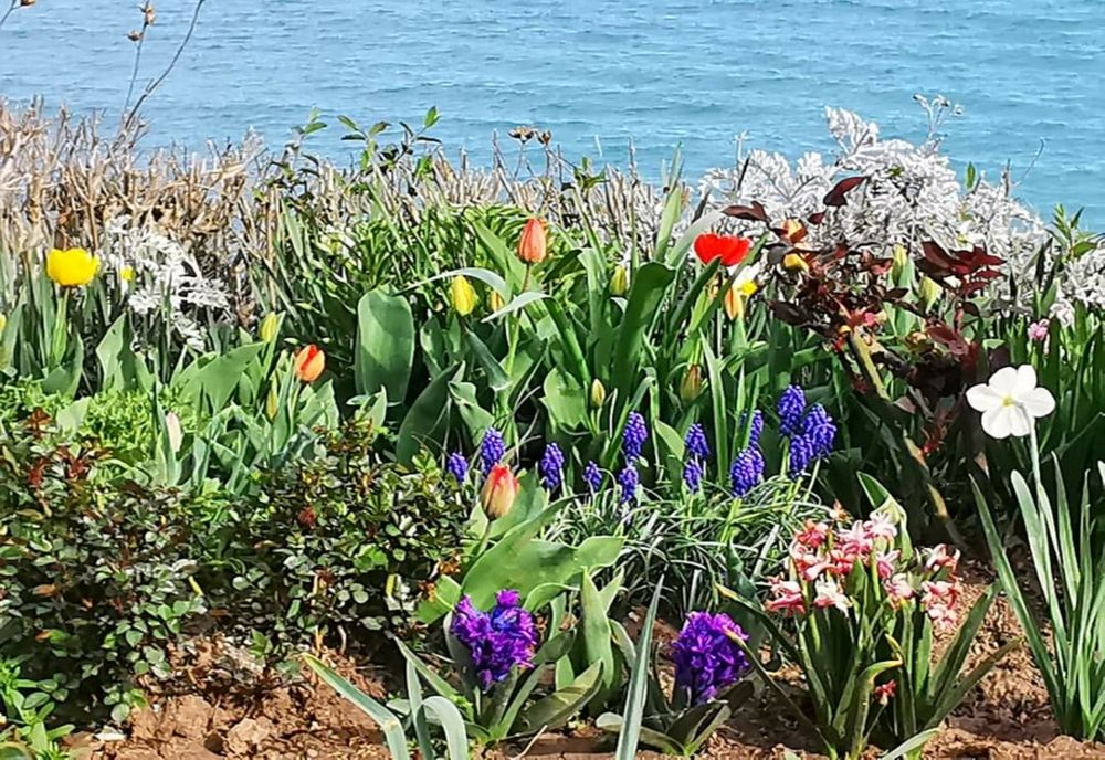 Vremea 7 mai. Weekend cu cer senin și temperaturi ridicate