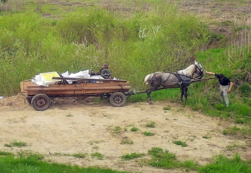 Încă un bistrițean amendat cu 10.000 lei, după ce a aruncat deșeuri în natură