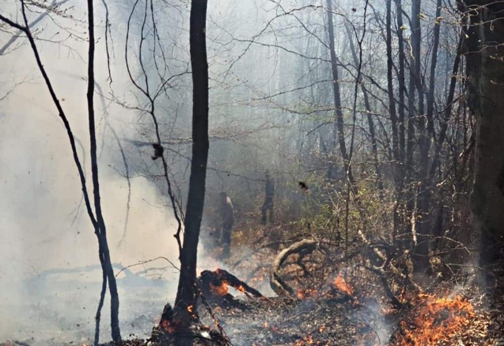 Incendiu de pădure pe raza comunei Șanț! Intervin zeci de pompieri