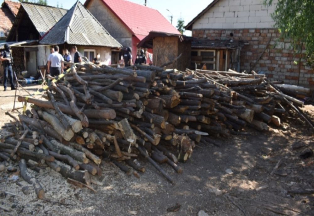 Percheziţie în Jibou! Trei tineri au furat lemne dintr-un depozit din Someş Odorhei