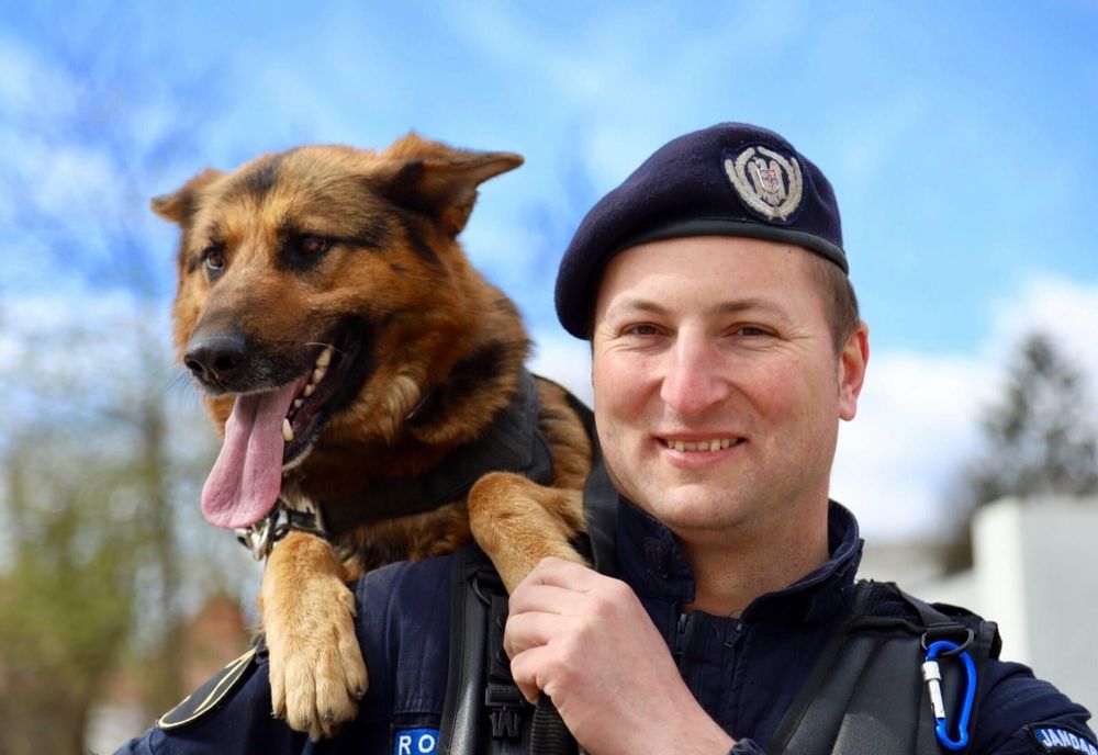 Jandarmeria Bistrița-Năsăud: Vino în echipa noastră! Au început înscrierile pentru școlile de subofițeri de jandarmi  