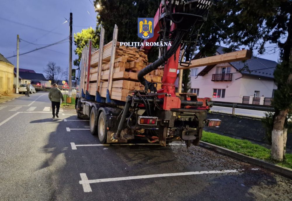 Aproximativ 62 mc de lemn, confiscat, și amenzi de 24.000 lei, aplicate de polițiștii și inspectorii Gărzii Forestiere din Bistrița-Năsăud