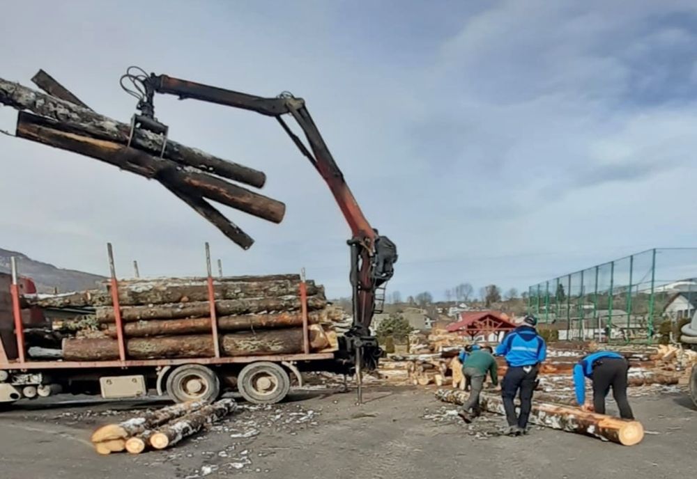 Transportator de material lemnos, amendat de jandarmi! A rămas și fără o parte din marfă