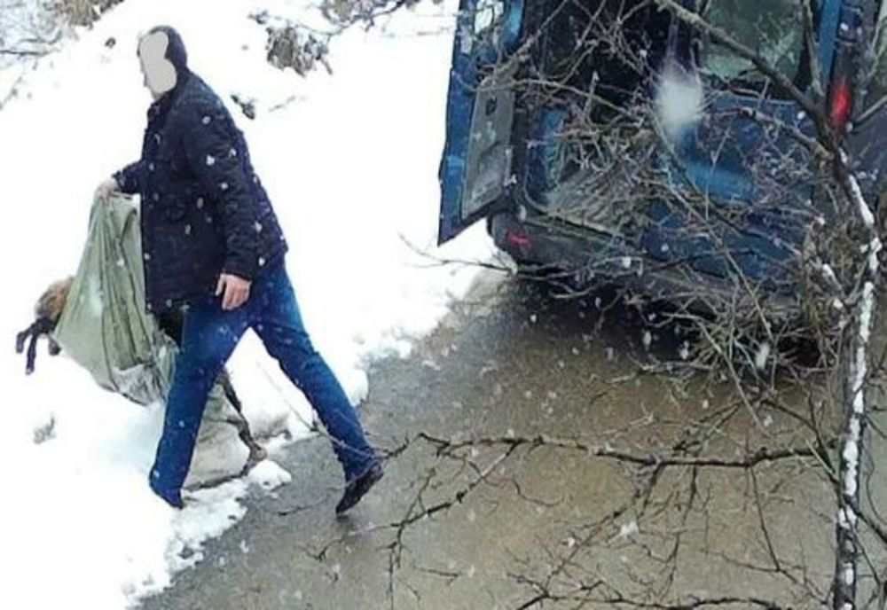Bărbat din Năsăud, care a abandonat cadavrul unui animal pe marginea șoselei, identificat și amendat usturător
