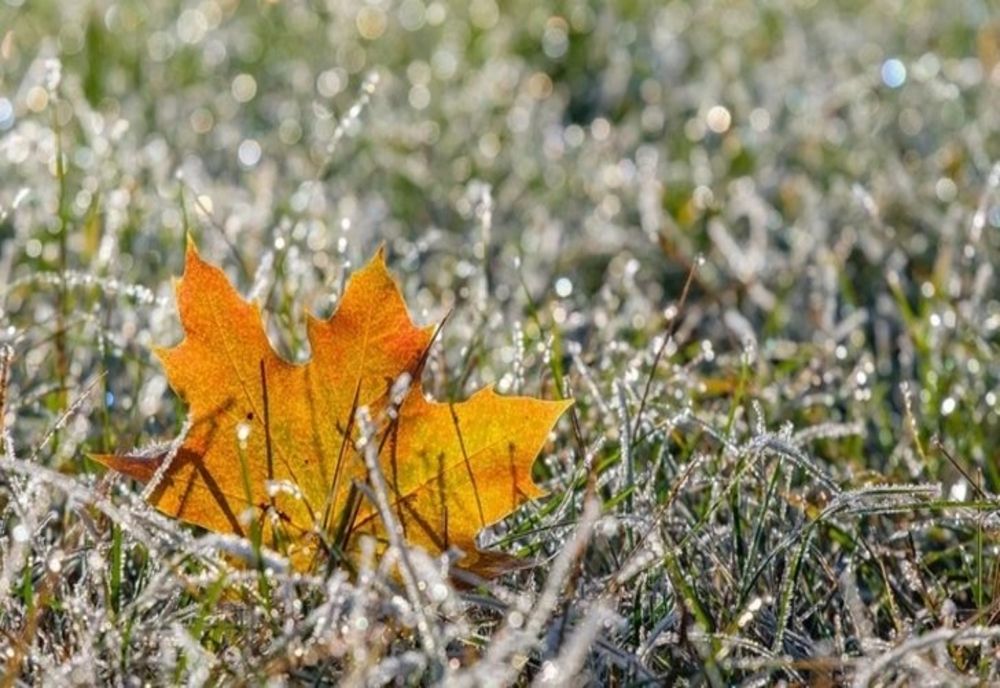 ANM: Temperaturile vor rămâne peste mediile climatologice până la final de decembrie