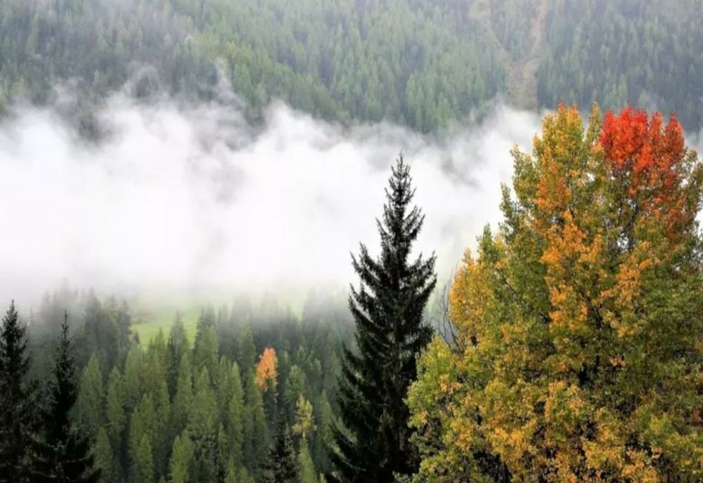 5 locuri superbe de vizitat în România în noiembrie – destinații perfecte pentru weekenduri de toamnă