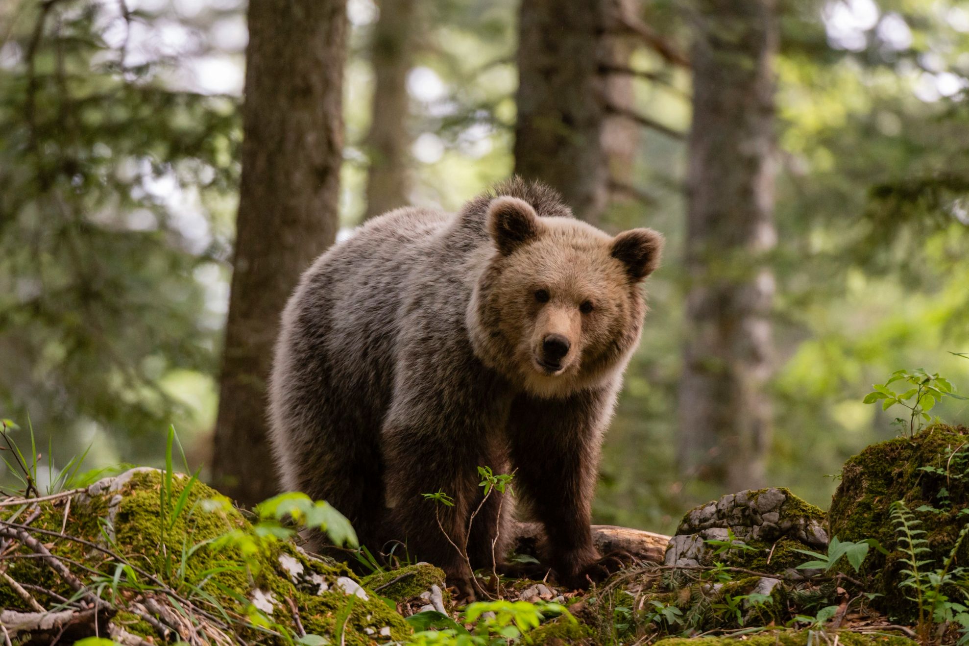 FOTO: Arhivă