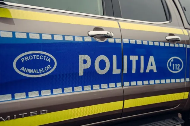 Peste 200 de abateri descoperite de Poliția Animalelor în Bistrița-Năsăud