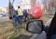 Primăria Bistrița, nevoită să mute merele gigant amplasate în apropierea unor treceri de pietoni (FOTO)