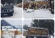 Firme de exploatarea și prelucrarea lemnului din Bistrița-Năsăud, verificate de polițiști și Garda Forestieră! Ce sancțiuni au fost aplicate și cât lemn a fost confiscat