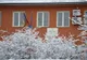 Fermierii pot depune cererea unică de plată aferentă anului 2019 inclusiv sâmbătă și duminică