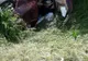 FOTO: Accident mortal, pe DJ 151, la Șintereag! Un tânăr de 31 de ani și-a pierdut viața, alte trei persoane au ajuns la spital