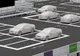 Consiliul Județean Bistrița-Năsăud vrea să amenajeze o parcare publică într-o zonă centrală a municipiului Bistrița