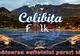 Recitaluri de excepție la cea de-a VIII-a ediție a Colibița Folk Fest, între 16 și 17 august