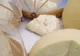 Lactate produse la Sîngeorz-Băi, înscrise în Registrul Naţional al Produselor Montane