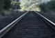 Trafic feroviar întrerupt în Bistrița-Năsăud după ce un tren personal a lovit mai multe animale