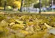 Cum va fi vremea în următoarele două săptămâni? Prognoza meteorologilor