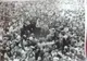 La împlinirea a 30 de ani de la Revoluția din 1989, Instituția Prefectului Bistrița-Năsăud lansează un apel către bistrițeni