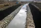Verzii din Bistrița-Năsăud și reprezentanții unor asociații ecologiste și civice cer stoparea lucrărilor de pe două cursuri de apă din județ! Care este motivul