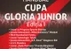 Sala Polivalentă din Bistrița găzduiește prima ediție a competiției de handbal ”Cupa Gloria Junior”
