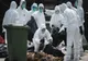 Carne de pasăre din Ungaria, infestată cu gripă aviară, livrată în magazine din Bistrița-Năsăud și alte 25 de județe