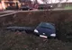 Accident pe DN 17C! Două autoturisme au ajuns în șanț