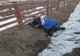 Bărbat găsit inconștient pe marginea DN 17D! Jandarmii i-au sărit în ajutor