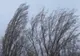 Atenționări meteo pentru Bistrița-Năsăud: ninsori moderate și viscol! Ce recomandă polițiștii bistrițeni