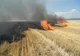 APM Bistrița-Năsăud: Incendierea miriștilor și a resturilor vegetale în scopul igienizării terenurilor,  STRICT INTERZISĂ! Sancțiunile sunt drastice pentru cei care nu respectă legea