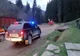 Bărbat din Bistrița-Năsăud, decedat în urma unui accident într-o pădure în Munții Suhard