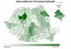 Evaluare Națională Bistrița-Năsăud; 9 medii de 10! Rata de promovare e de 76,71%