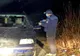 Au avut chef de plimbări nocturne și au dat nas în nas cu jandarmii