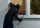 A furat câteva mii de lei din locuința unui consătean, la finele anului trecut! A fost prins acum de polițiști
